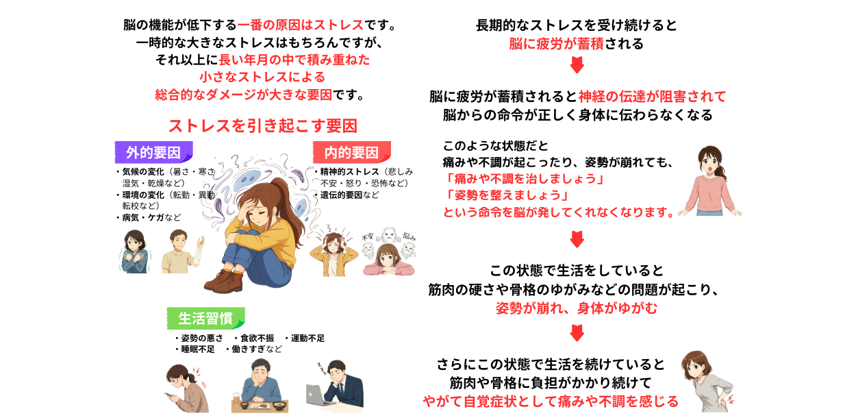ストレスが脳の機能低下の原因